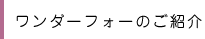 ワンダーフォーのご紹介